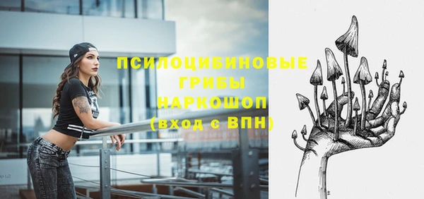 гидропоника Абаза