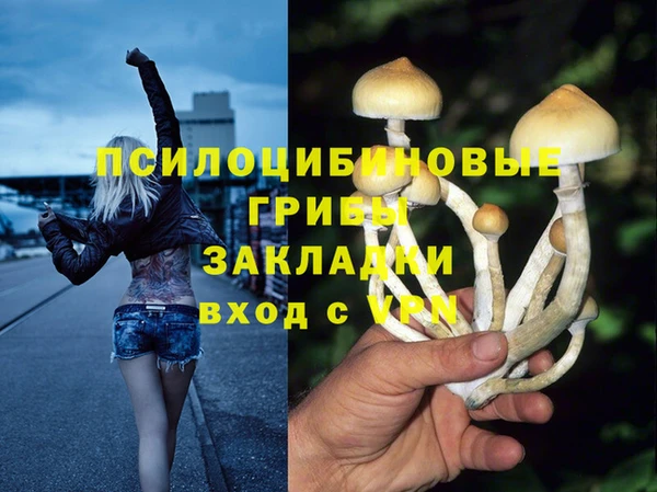 гидропоника Абаза