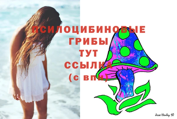 гидропоника Абаза