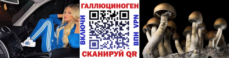 купить наркотики цена  omg маркетплейс  Галлюциногенные грибы Cubensis  Рославль 